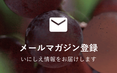 メールマガジン登録