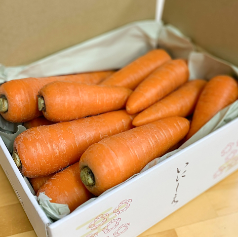 いにしえ青森県にんじん